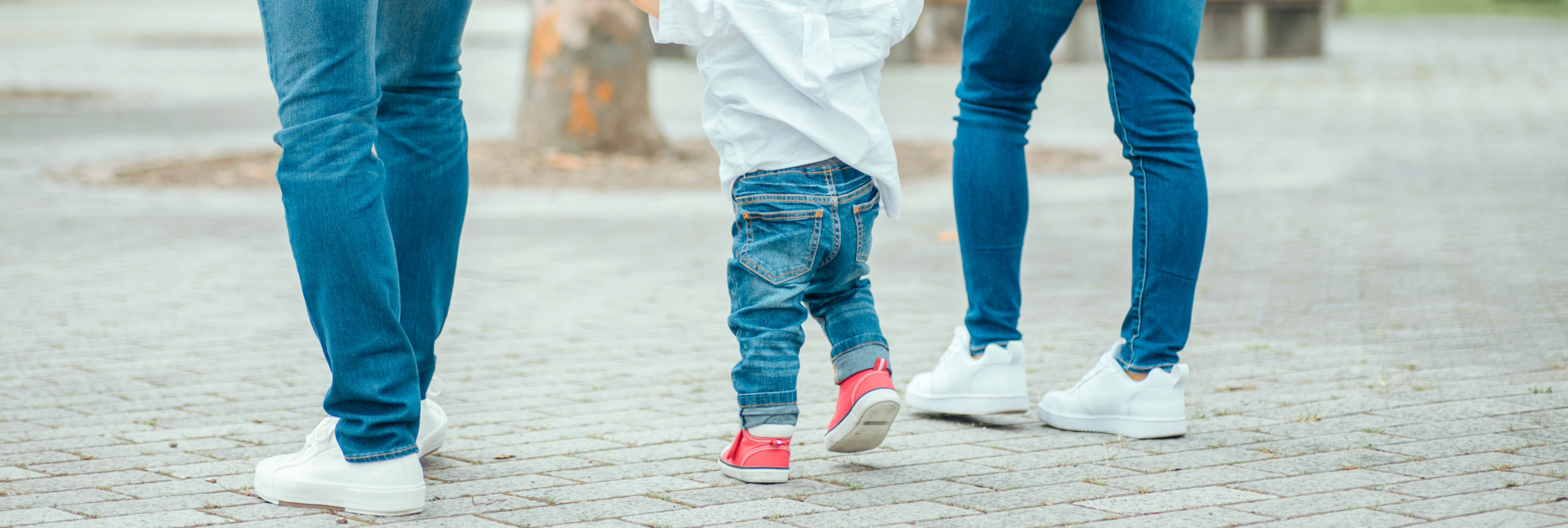 シリーズ：人間のライフサイクルと家族③「ヒトの二足歩行」